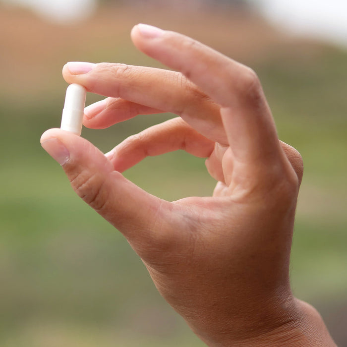 BrainMD NAC: person holding a white supplement capsule against a blurred, green exterior background
