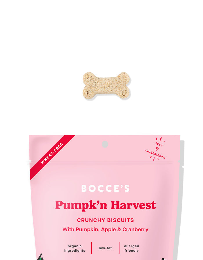 Pumpk'n Harvest Biscuits