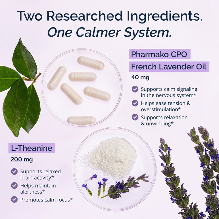 Relaxing Lavender + L-Theanine