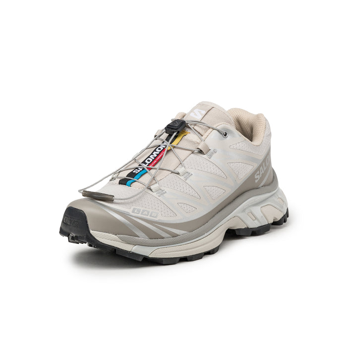 Salomon XT-6