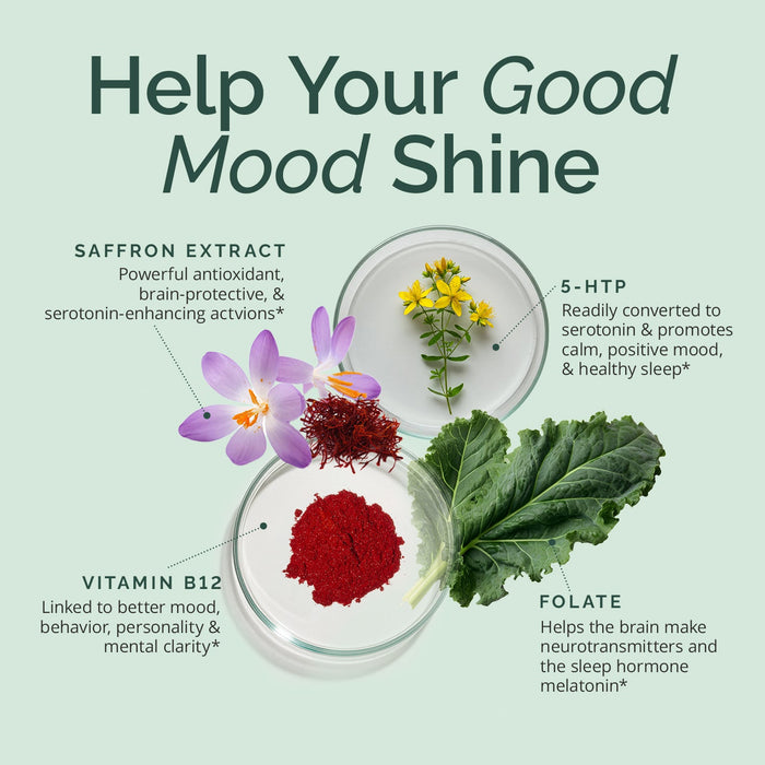 BrainMD Serotonin Mood Support: infographic, images & descriptions of 4 key ingredients set against a light green background