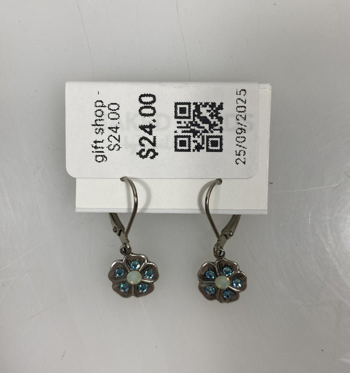 Silver Blue Crystal Flower Earrings