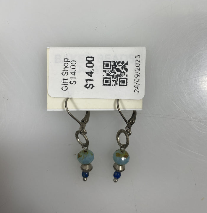 Silver Dangle Beaded Earrings