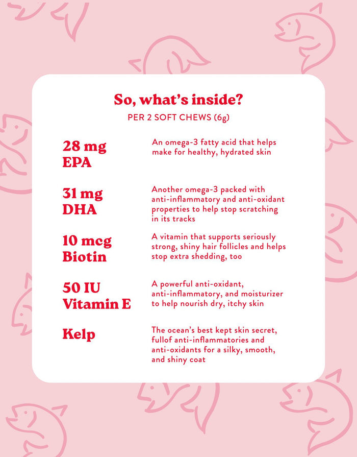 Skin & Coat Supplements
