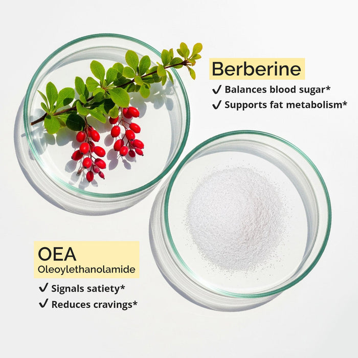 BrainMD Smart Metabolic Burn: infographic displays the raw ingredient forms of berberine & OEA against white background