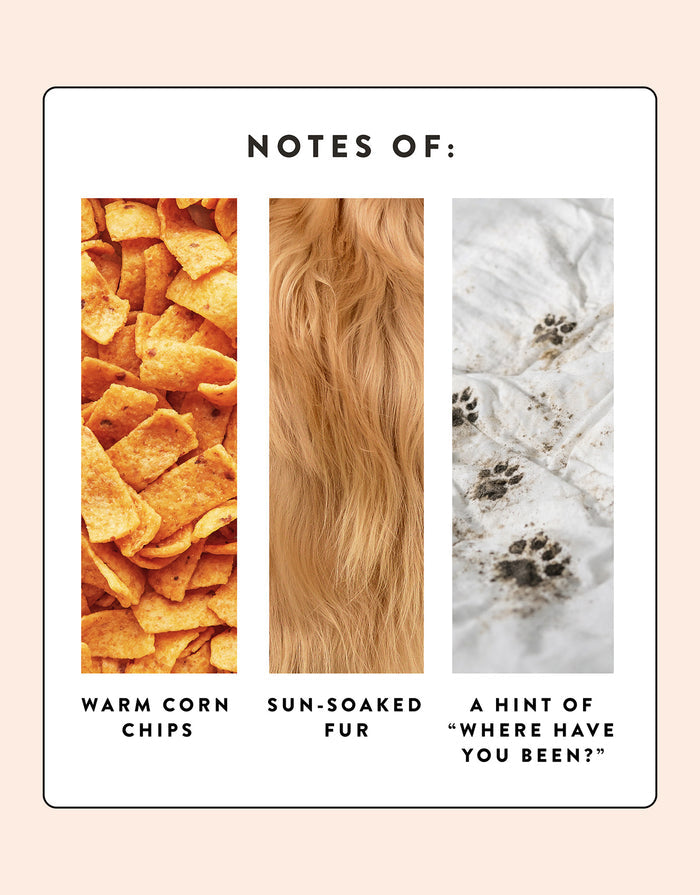 Smells Like My Dog's Paws Candle