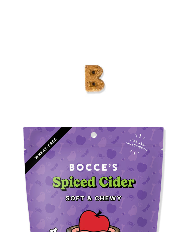 Spiced Cider 2-pack