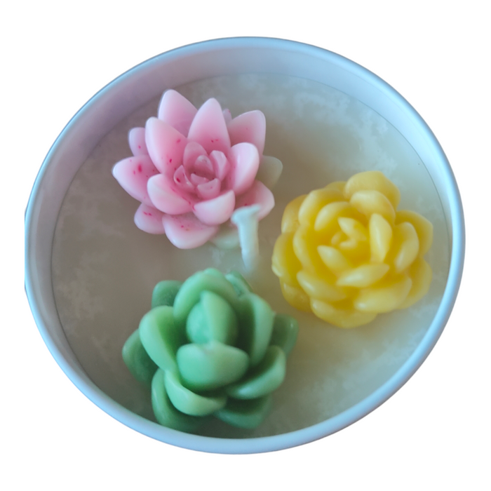 Succulent Candles in Tin Tray - Handmade, pastel lotus shapes.