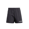Adidas Terrex Multi Shorts