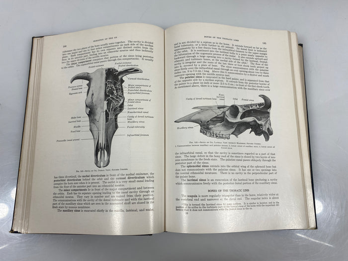 The Anatomy of the Domestic Animals by Sisson/Grossman Ex-library 1948 HC