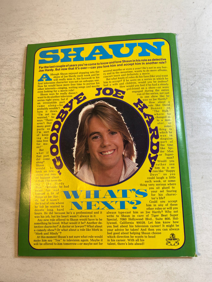 Tiger Beat Special Magazine Feb/March 1979 Leif Garrett