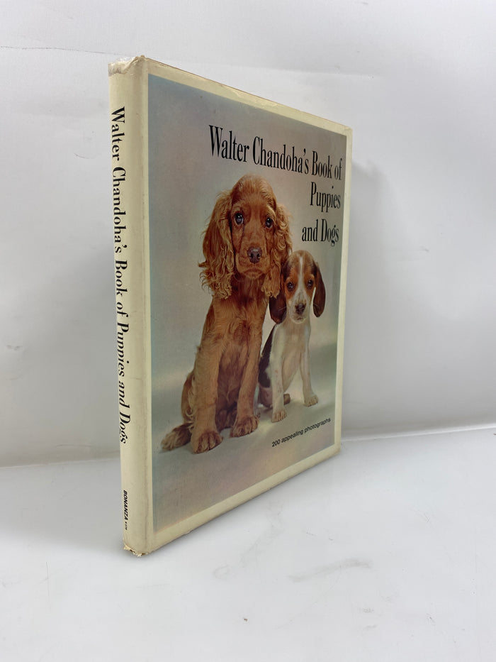 Walter Chandoha's Book of Puppies and Dogs Bonanza Books 1969 HCDJ