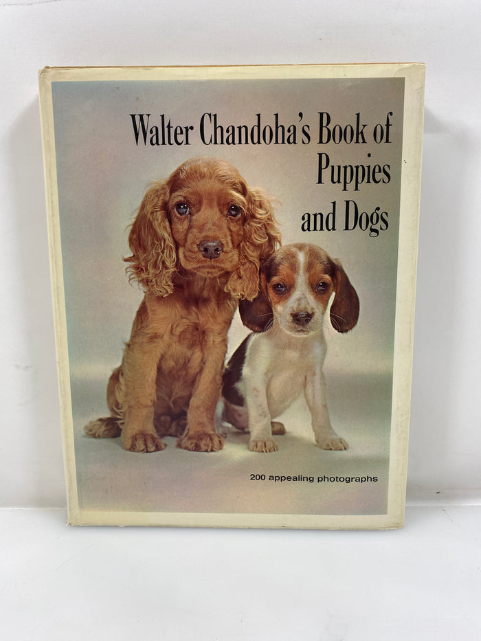 Walter Chandoha's Book of Puppies and Dogs Bonanza Books 1969 HCDJ