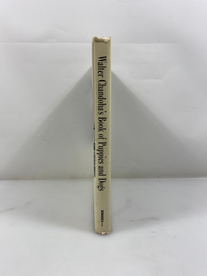 Walter Chandoha's Book of Puppies and Dogs Bonanza Books 1969 HCDJ