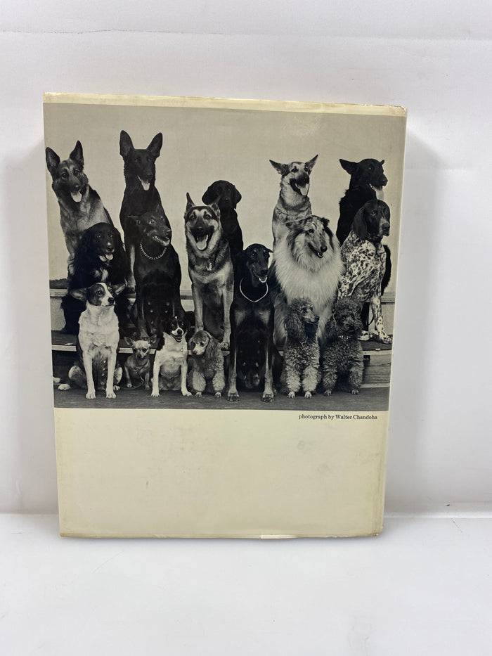 Walter Chandoha's Book of Puppies and Dogs Bonanza Books 1969 HCDJ