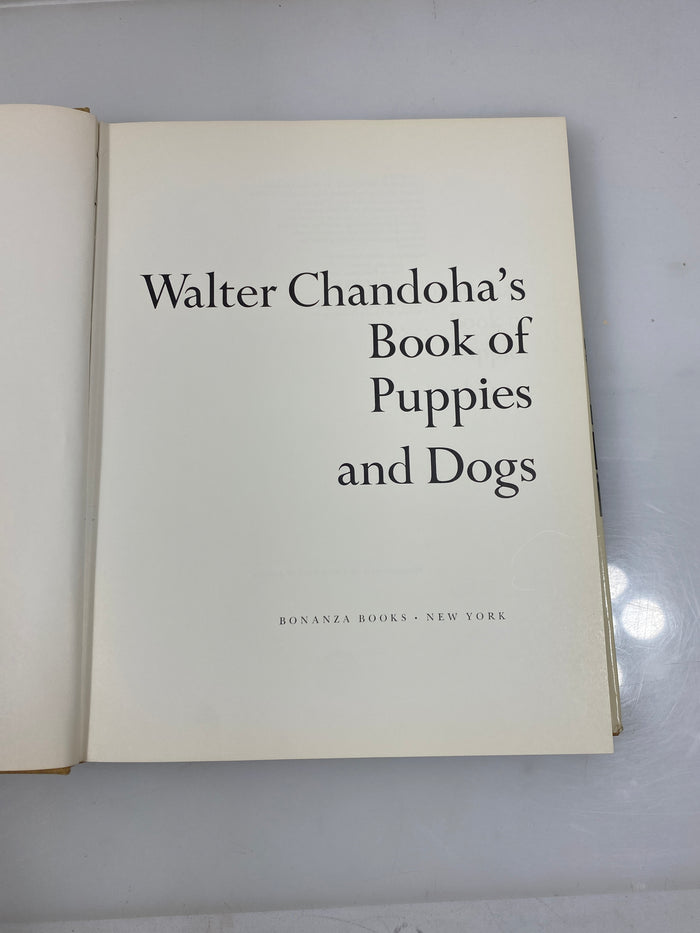 Walter Chandoha's Book of Puppies and Dogs Bonanza Books 1969 HCDJ