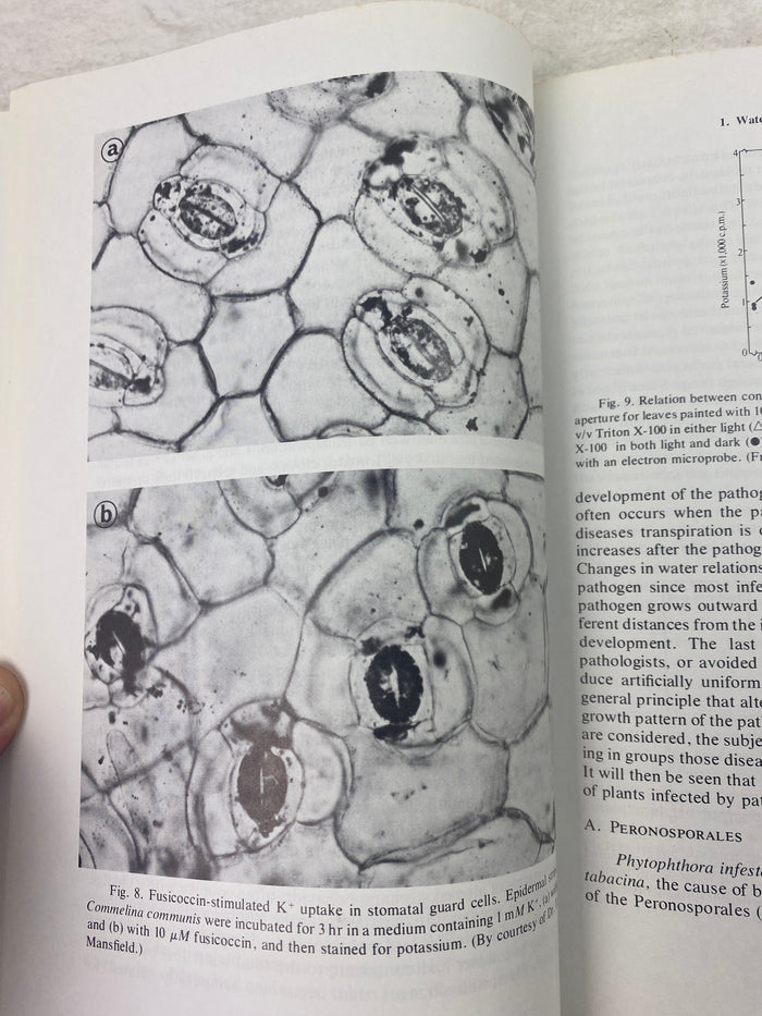 Water Deficits and Plant Growth James Beard Collection 1978