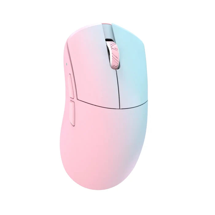 Blue/Pink